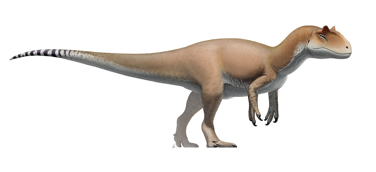 Allosaurus - Dinosaurnerd.com